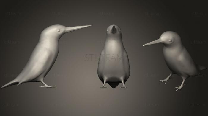 3D model Common kingfisher (STL)